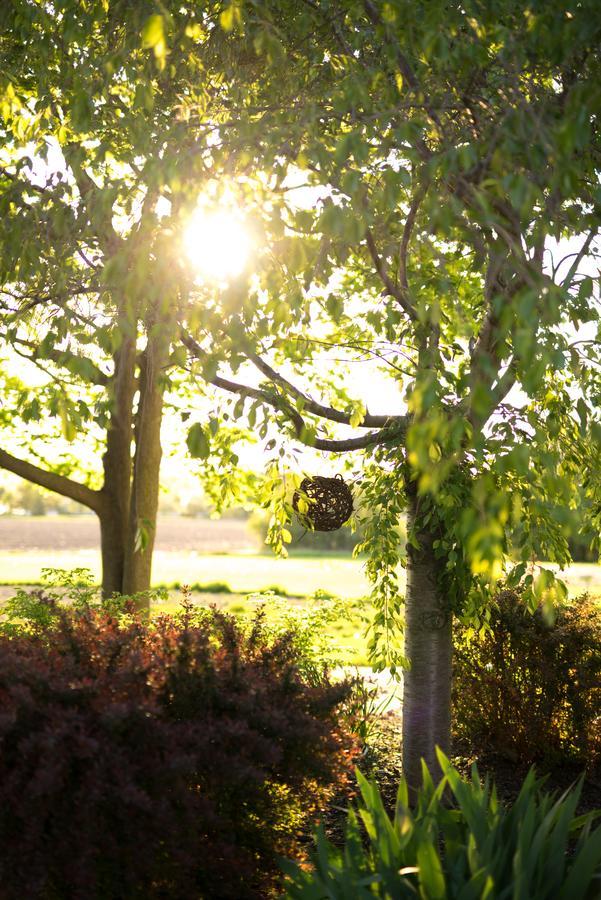 Yale Manor B&B & Yurt Glamping Exterior photo